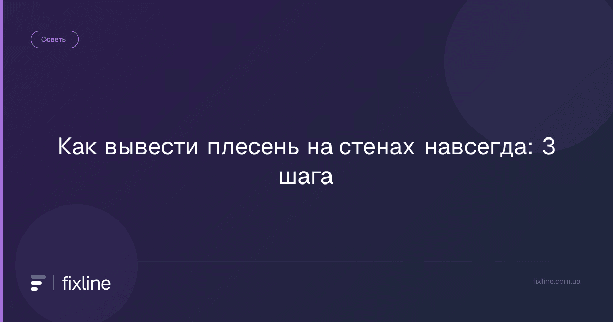 Как вывести плесень на стенах навсегда: 3 шага